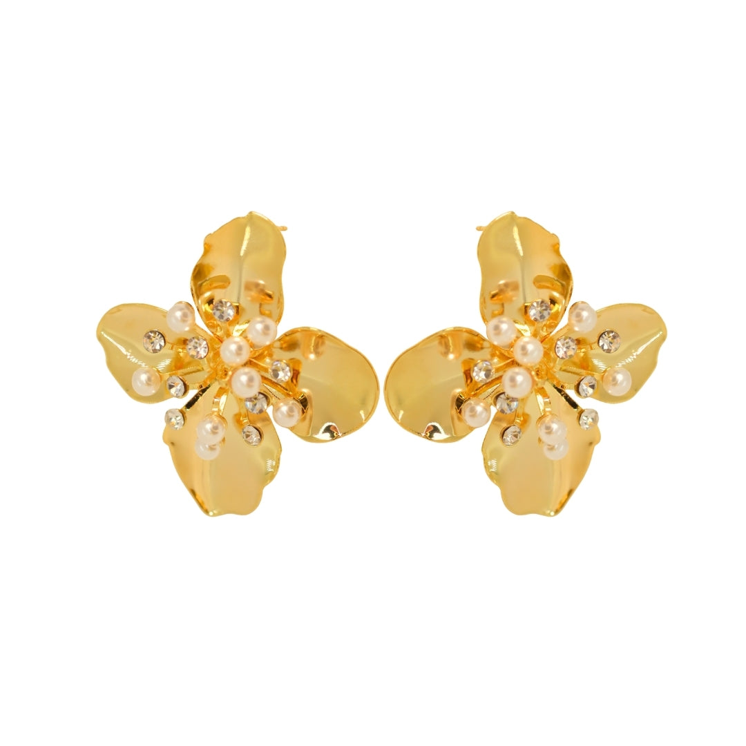 Argolla Elegante