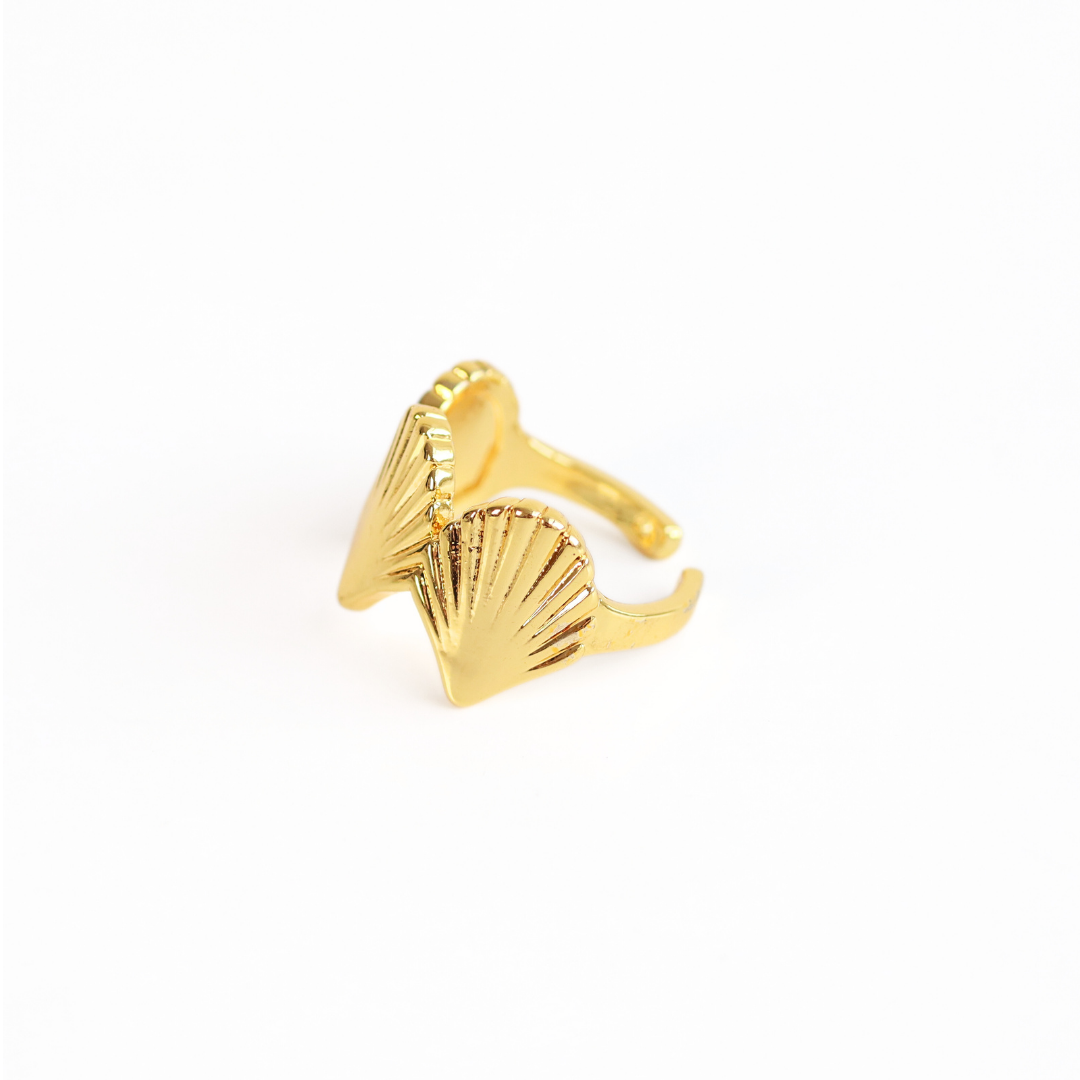 Anillo Coco