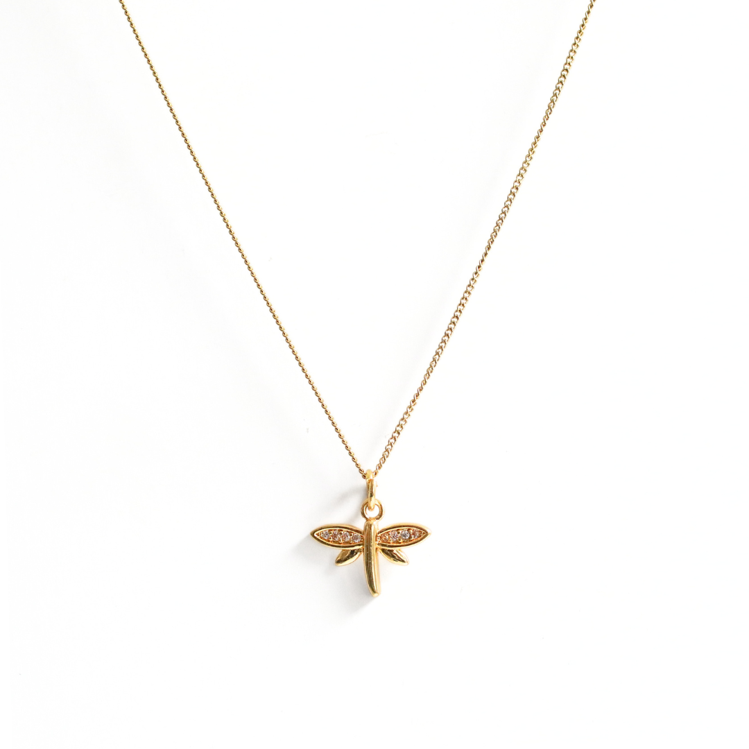 Collar Lively