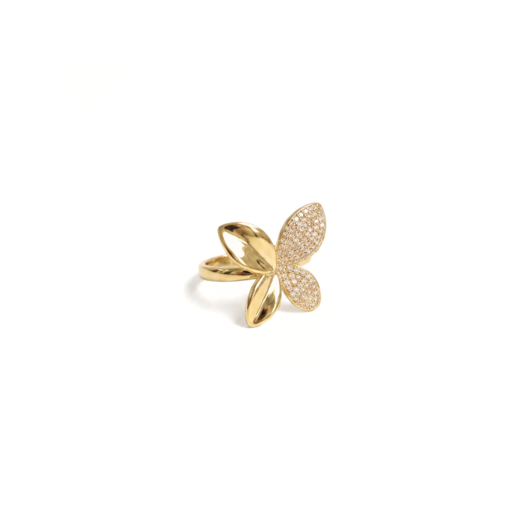 Anillo Rachell