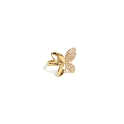 Anillo Rachell
