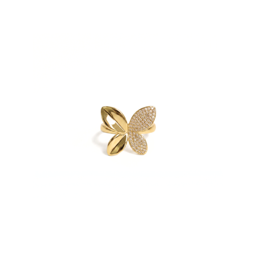 Anillo Rachell