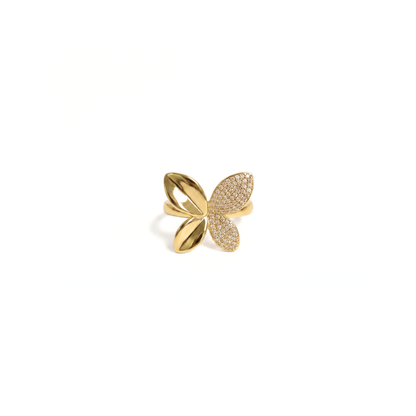 Anillo Rachell