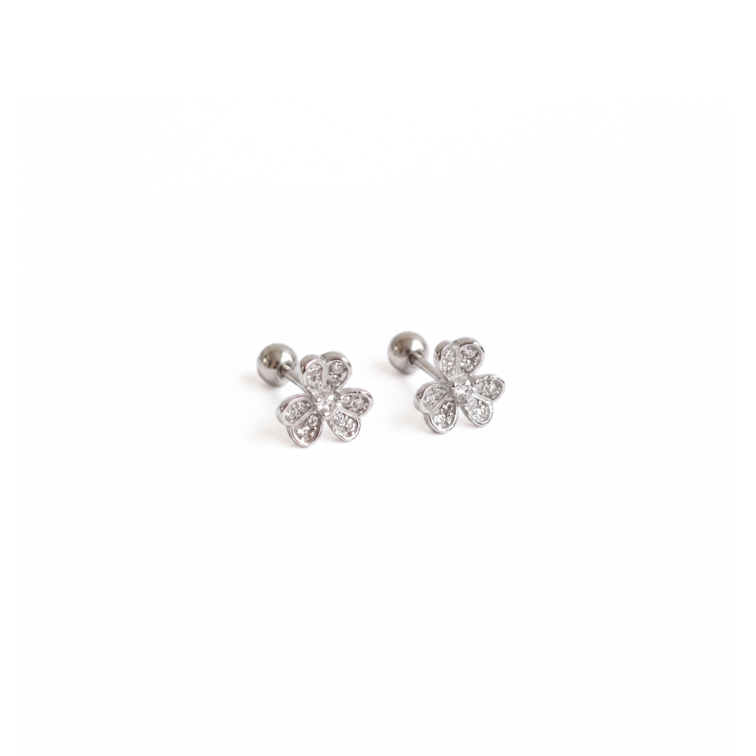 Arete Silver Lucky Charm