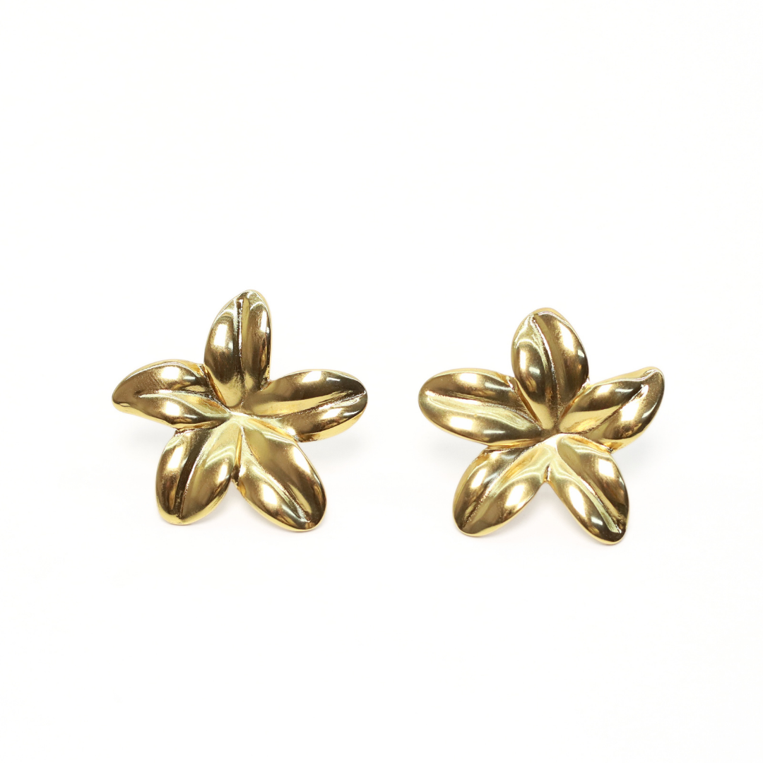 Aretes Petalie