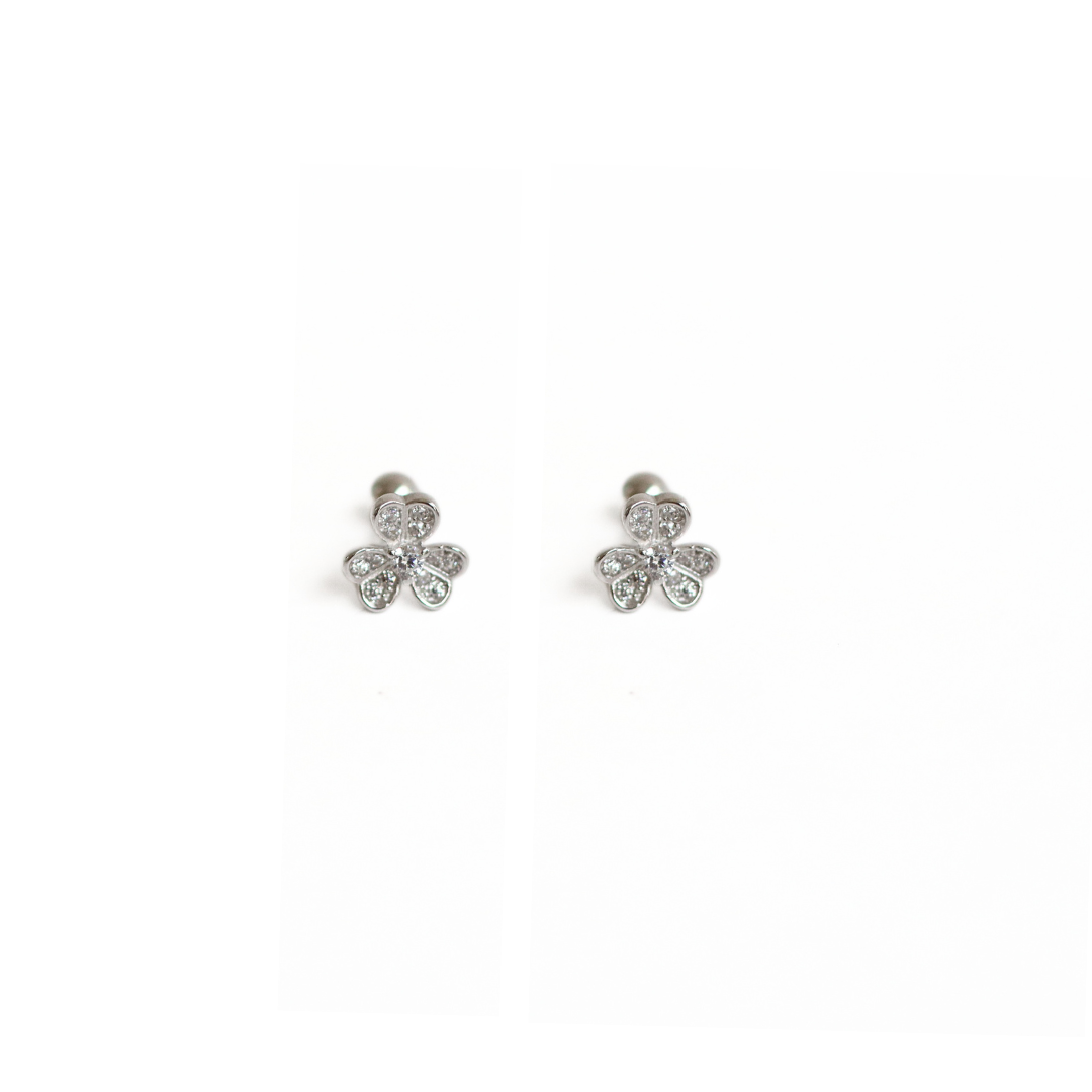 Arete Silver Lucky Charm