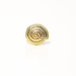 Anillo Caracola