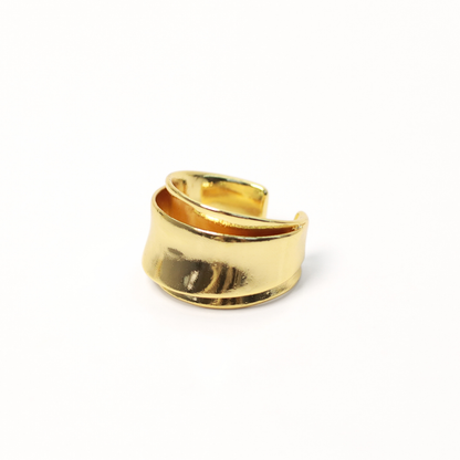 Anillo Double