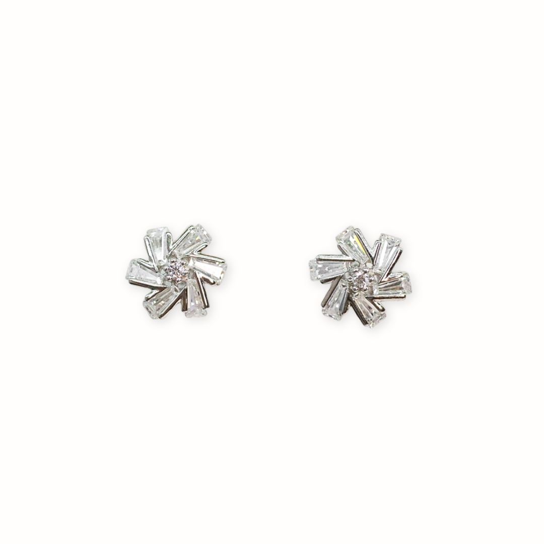Aretes Vulvares Silver