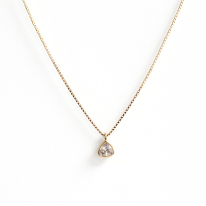 Collar Silver Gold Shield