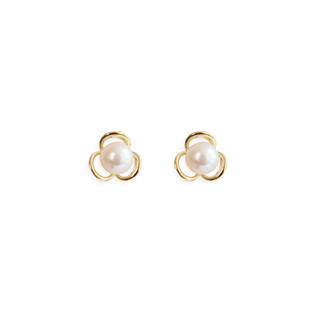 Arete Trina