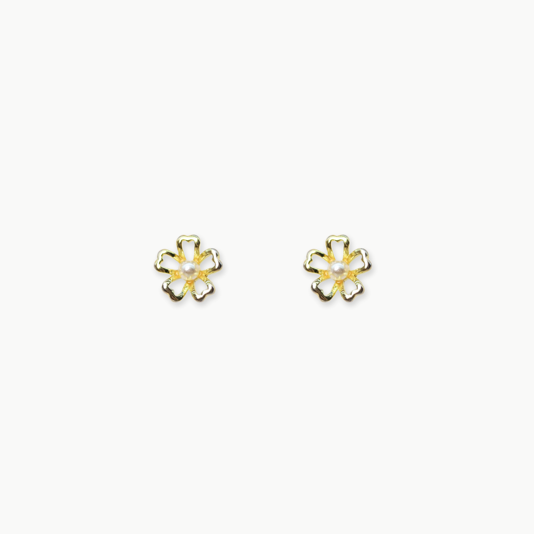 ARETES - Fansy