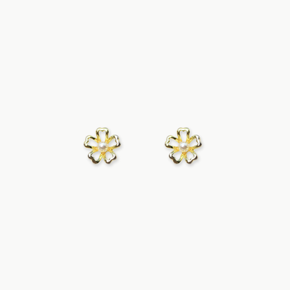ARETES - Fansy