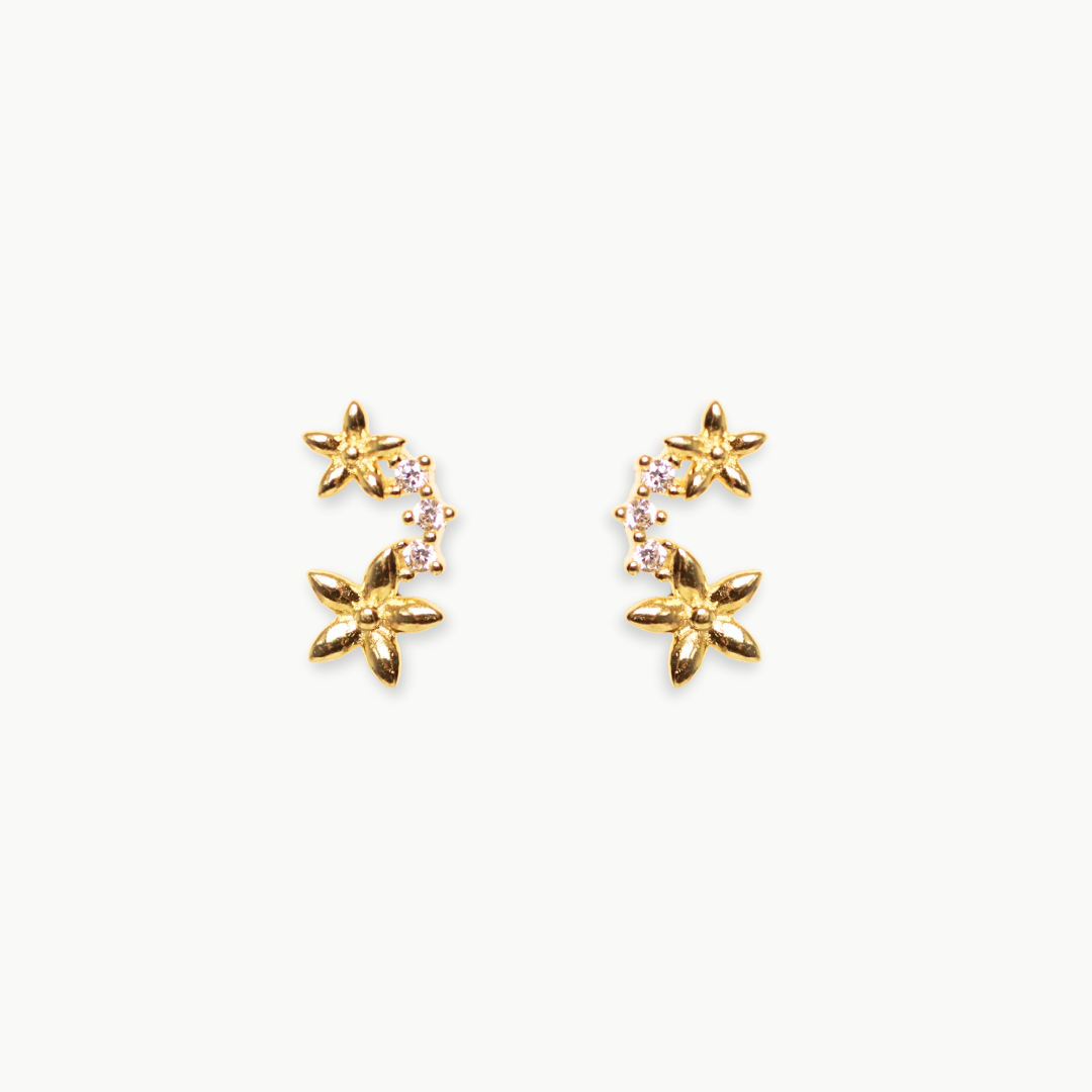 Arete Libia