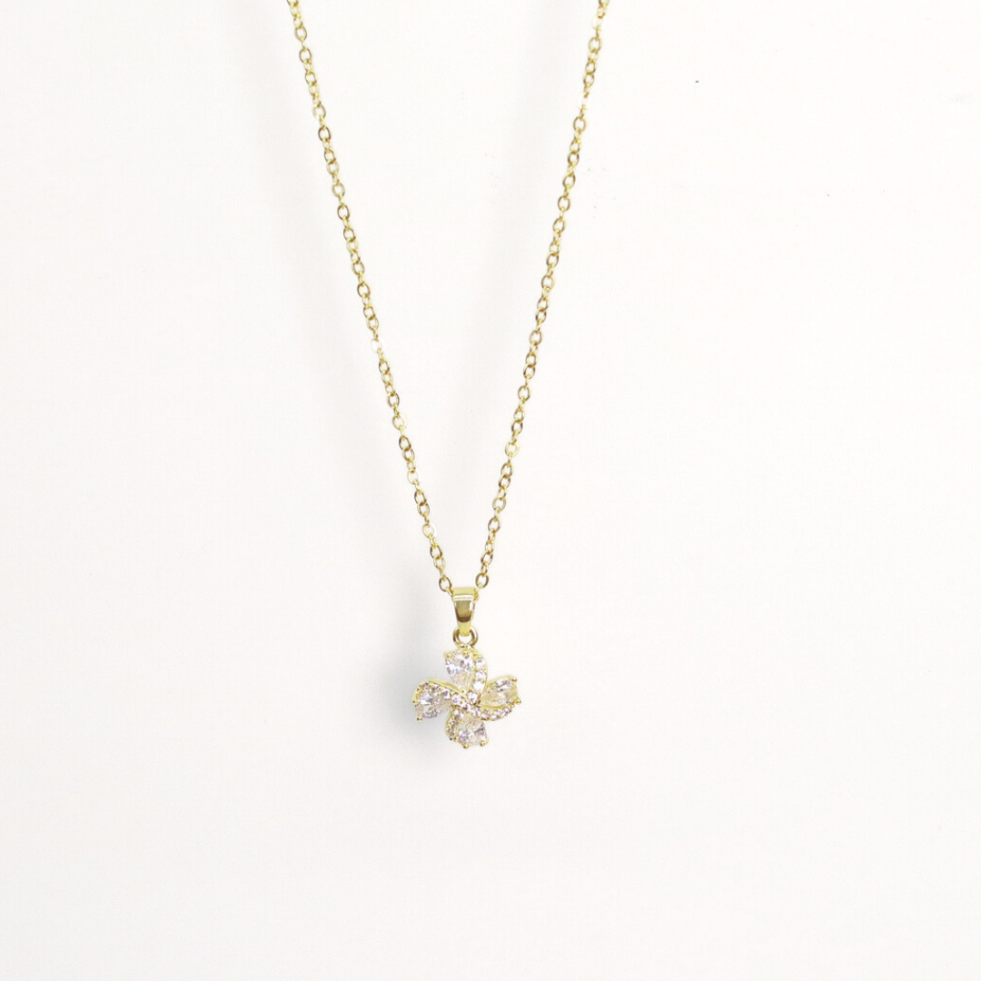 Collar Trendy	Grava Luxe