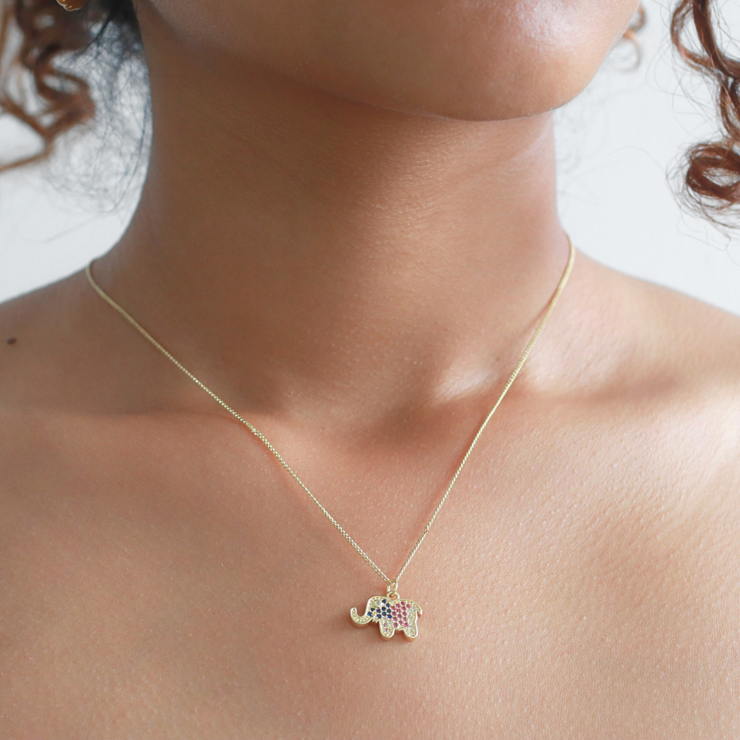 Collar Africa