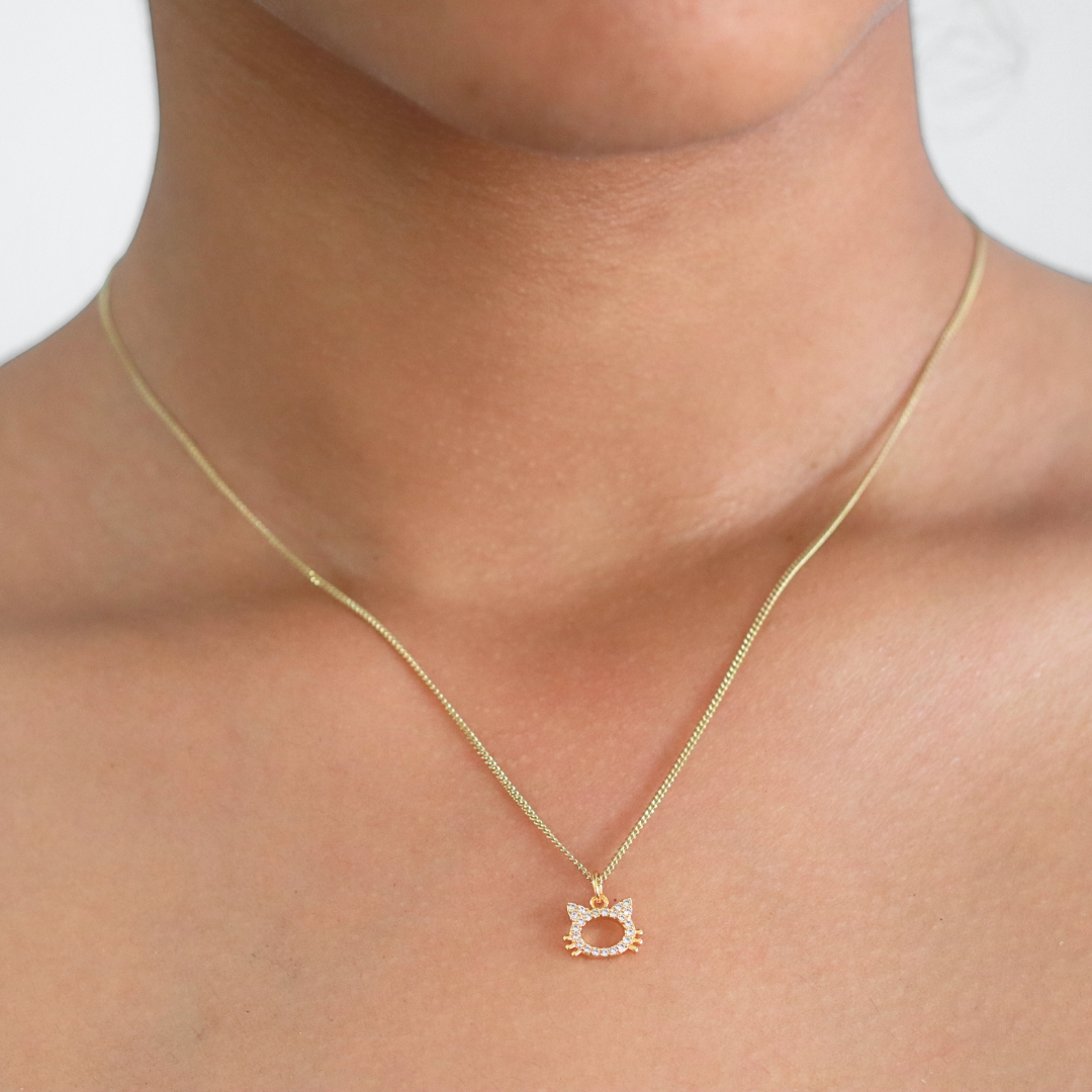 Collar Minino