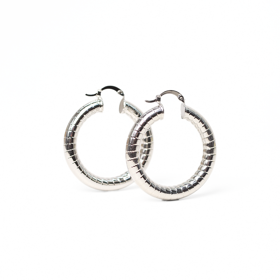Argollas Zebra