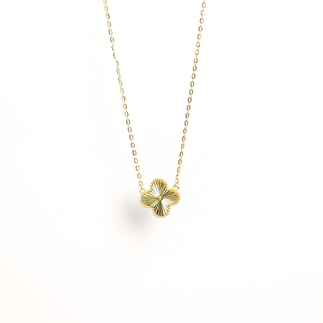 Collar Trendy	Osa Dorada
