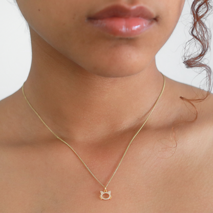 Collar Minino