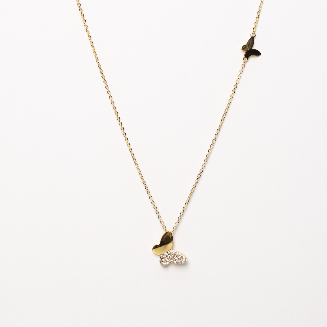 Collar Fami