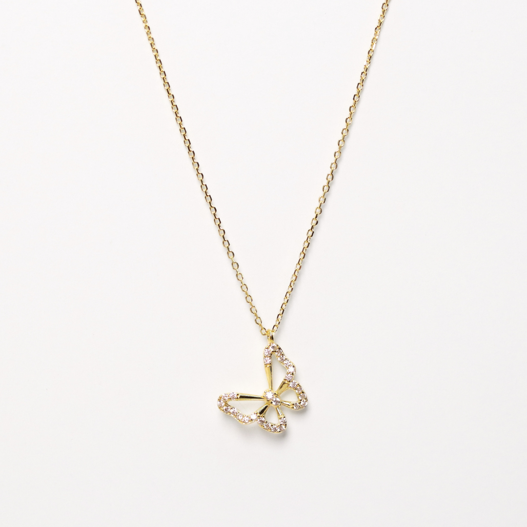 Collar Moni