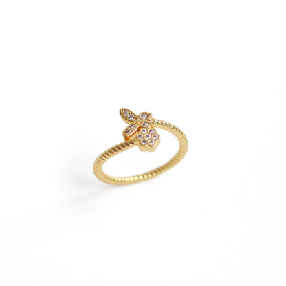 Anillo Aramisa