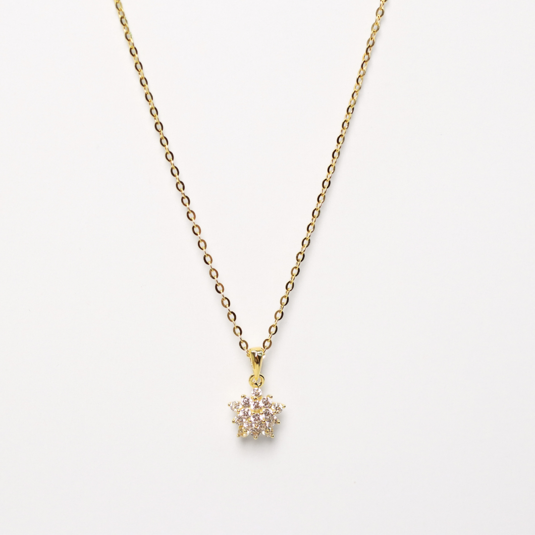 Collar Borja