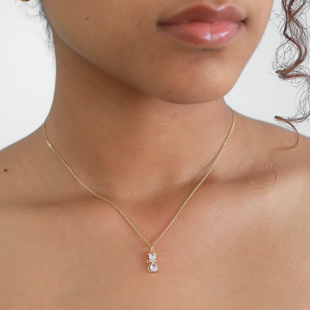 Collar Zircat