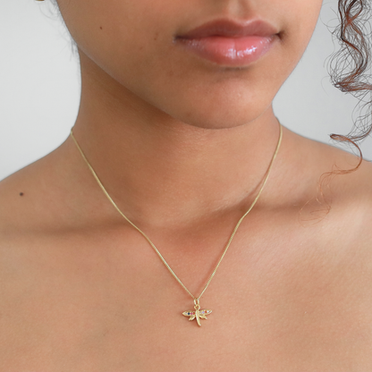 Collar Lively Colorful