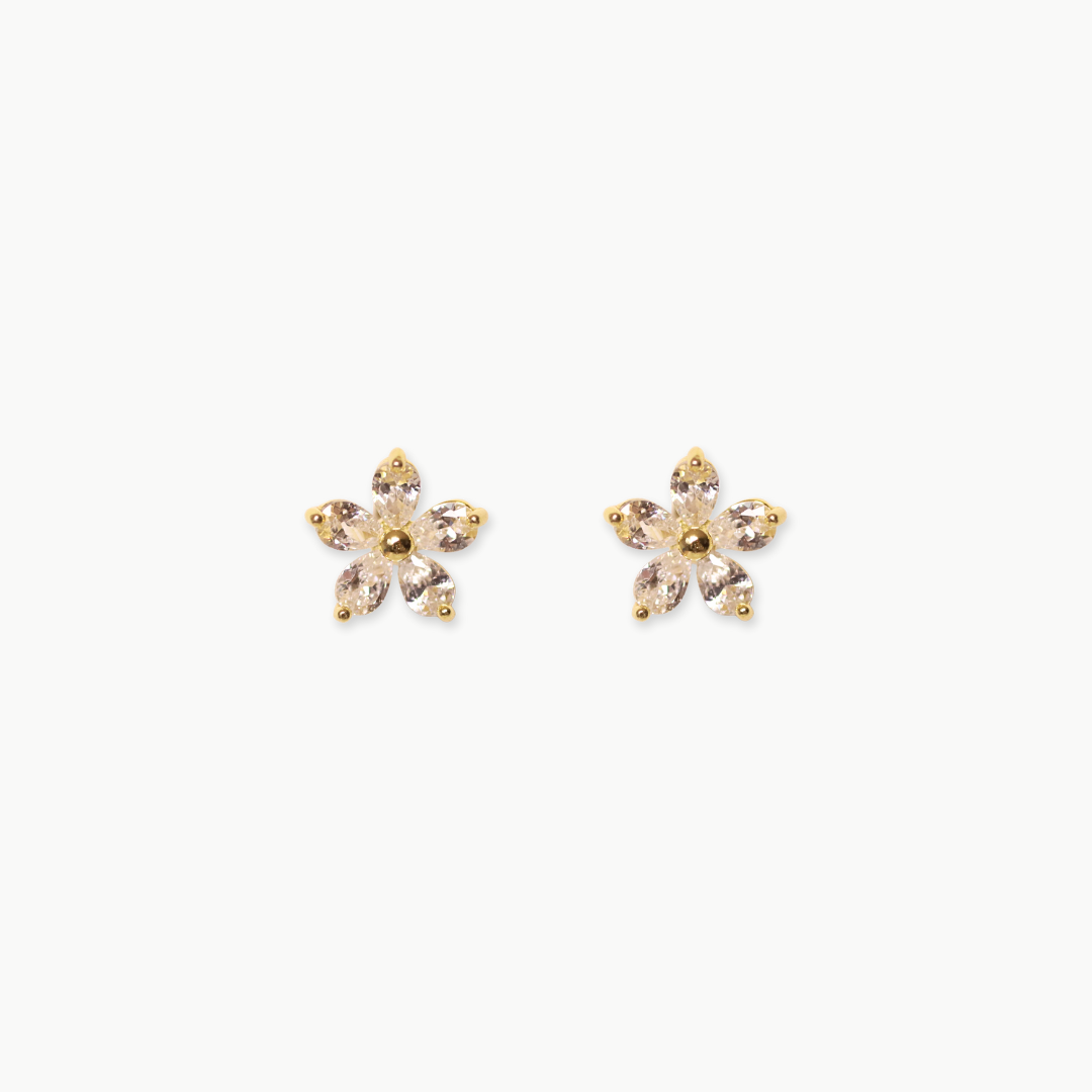 Arete Silver Gold Florcita