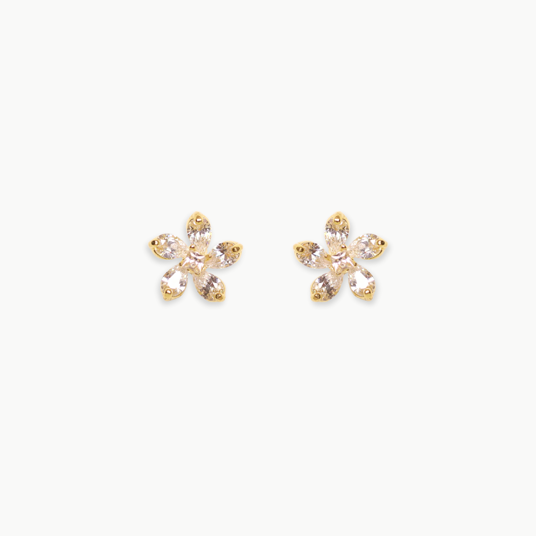Arete Nuria