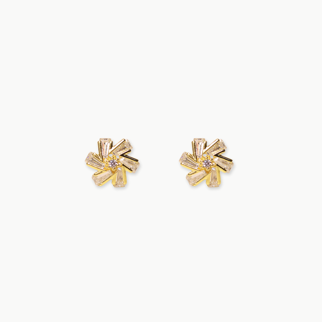 Aretes Silver Gold	Vulvares Gold