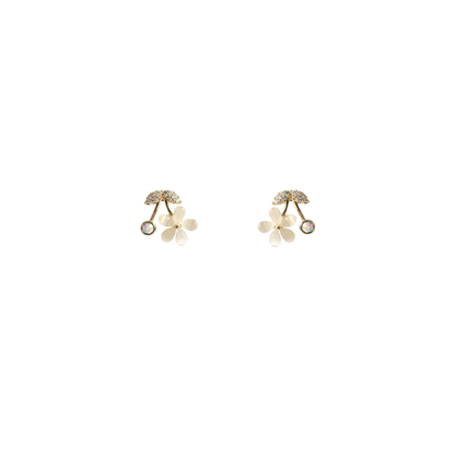 Arete Mercy