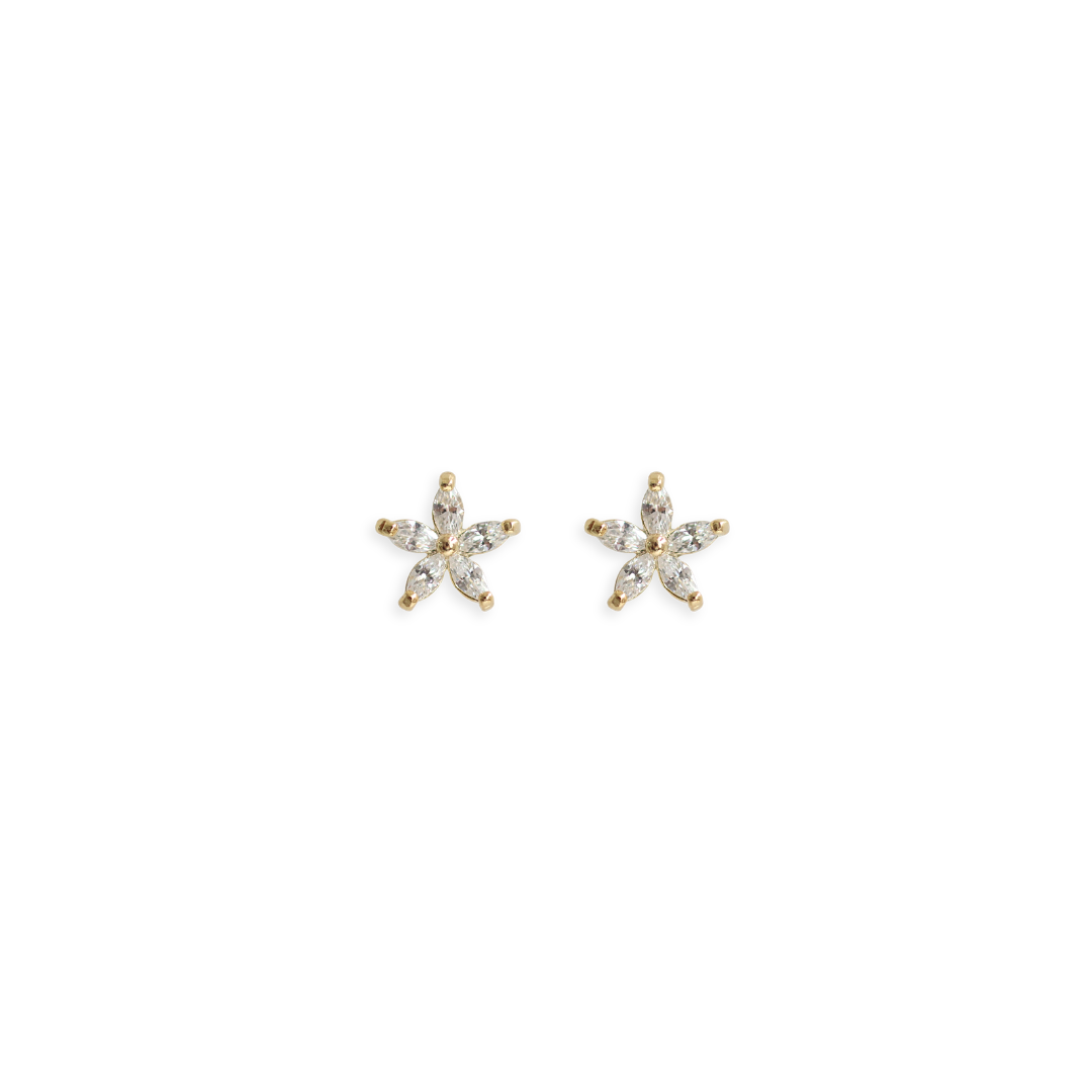 Arete Sheyla