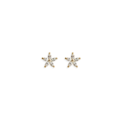 Arete Sheyla