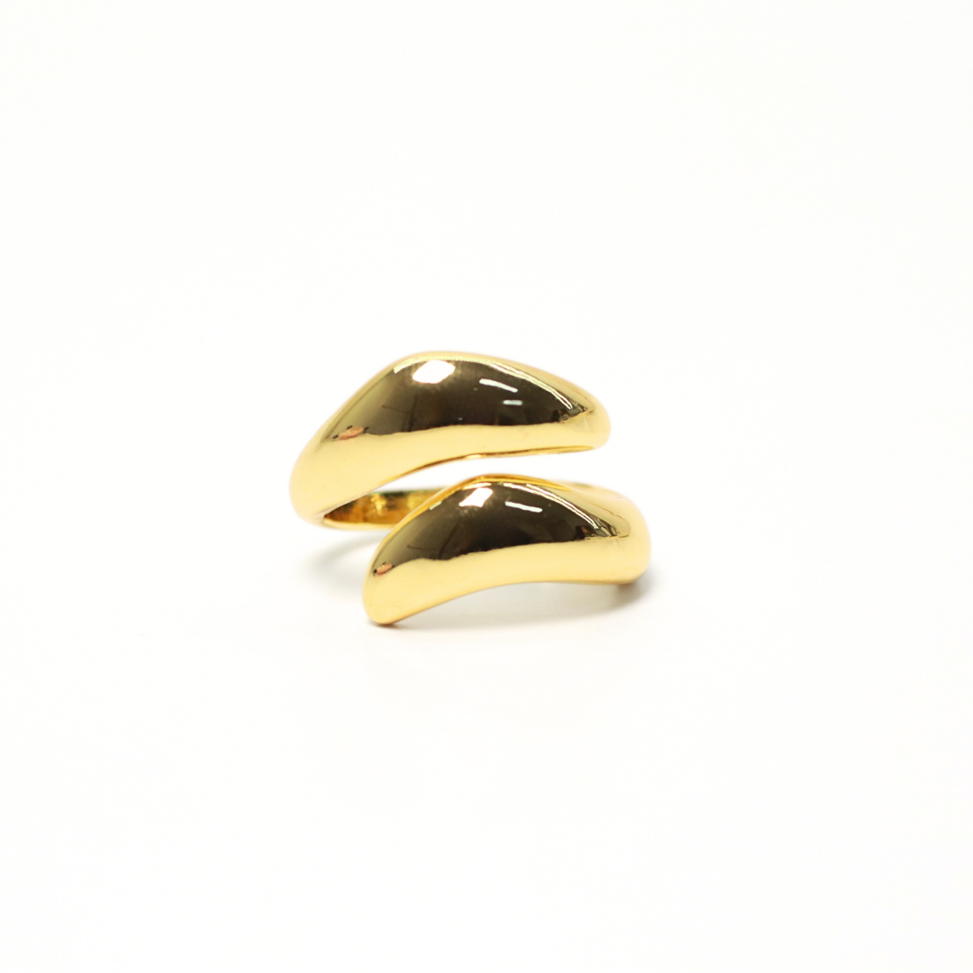 Anillo
