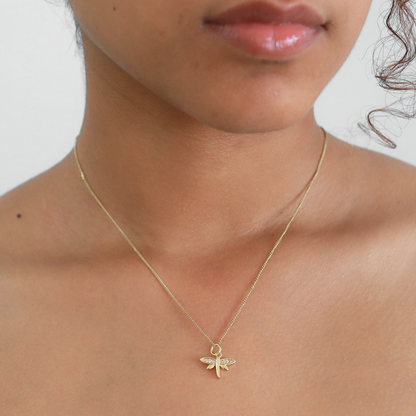 Collar Lively