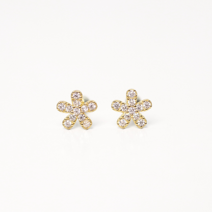 ARETES - FLOWER SHINE