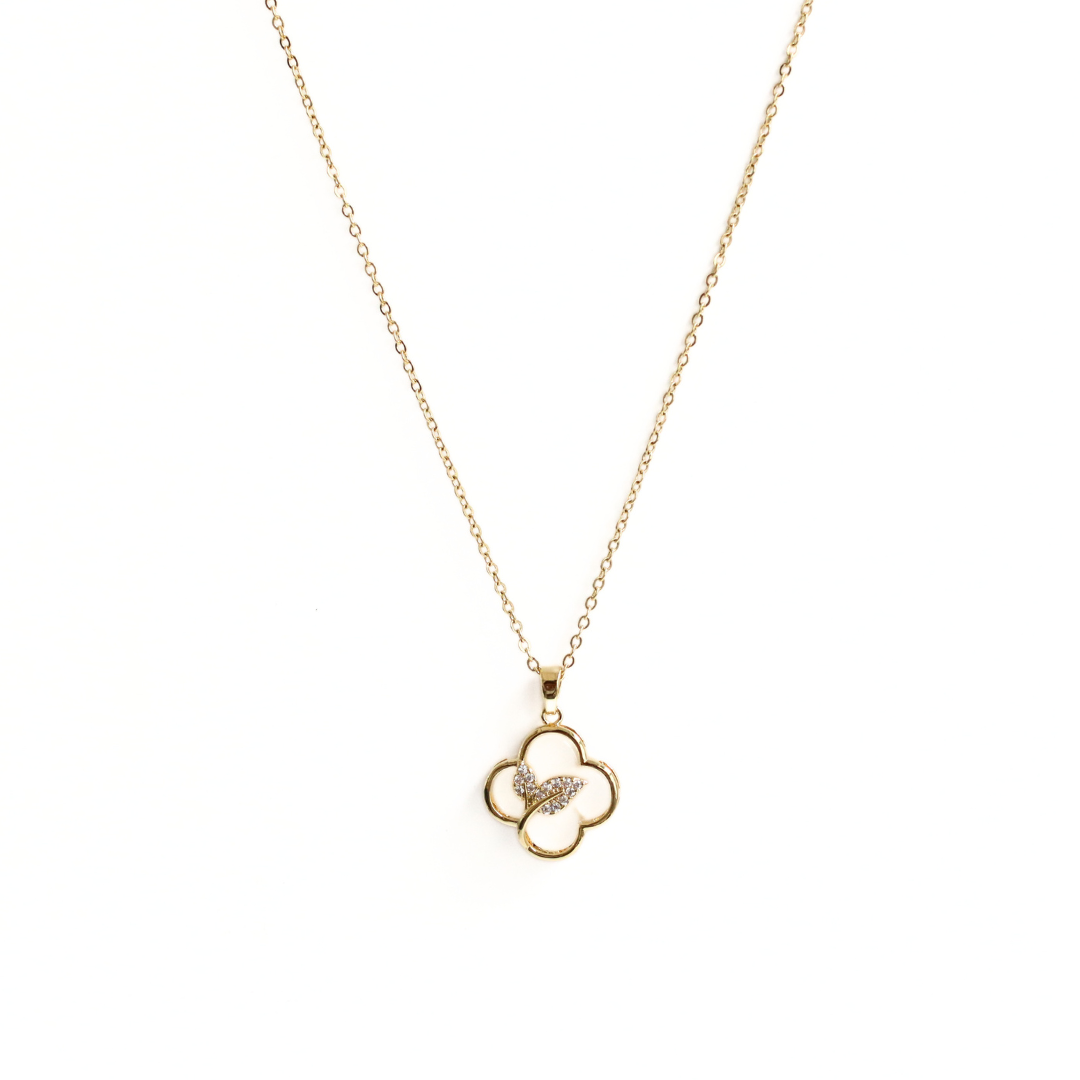Collar Mimosa