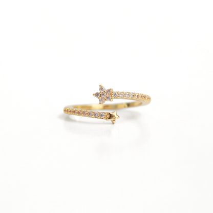 Anillo Evangeline