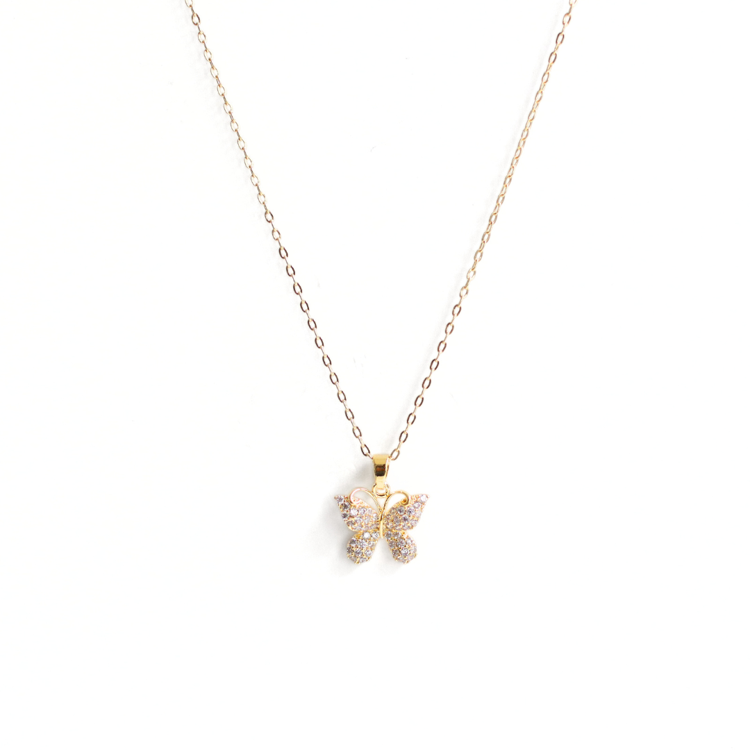 Collar Terence