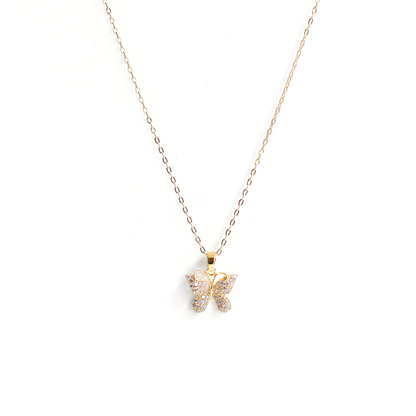 Collar Terence