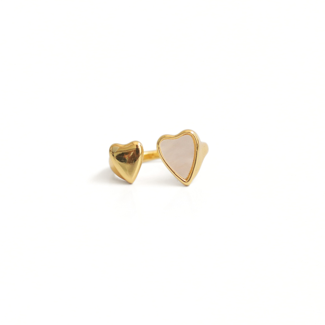Anillo Especial