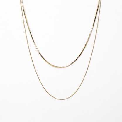 Collar Vogue
