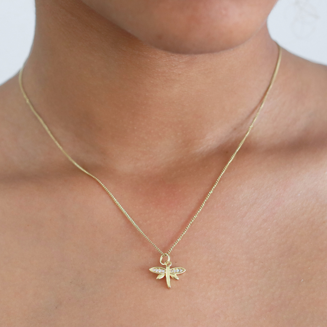 Collar Lively