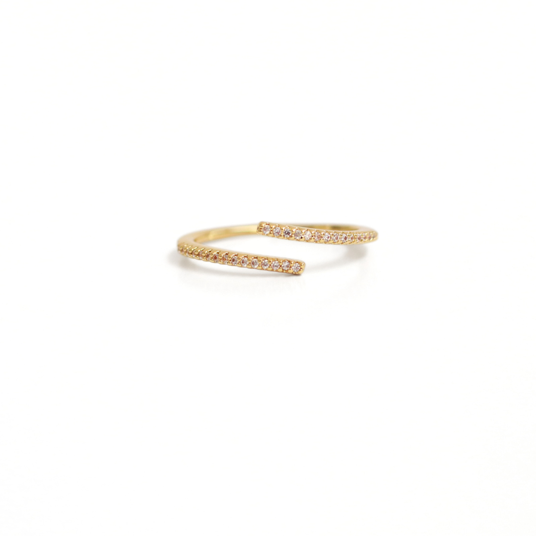Anillo Finito