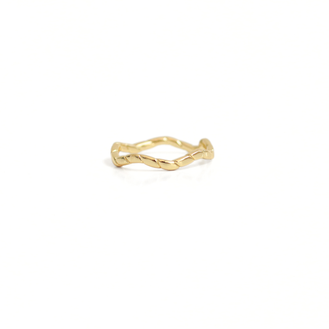 Anillo Dinámico