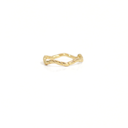 Anillo Dinámico