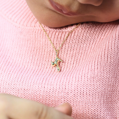 Collar Playground